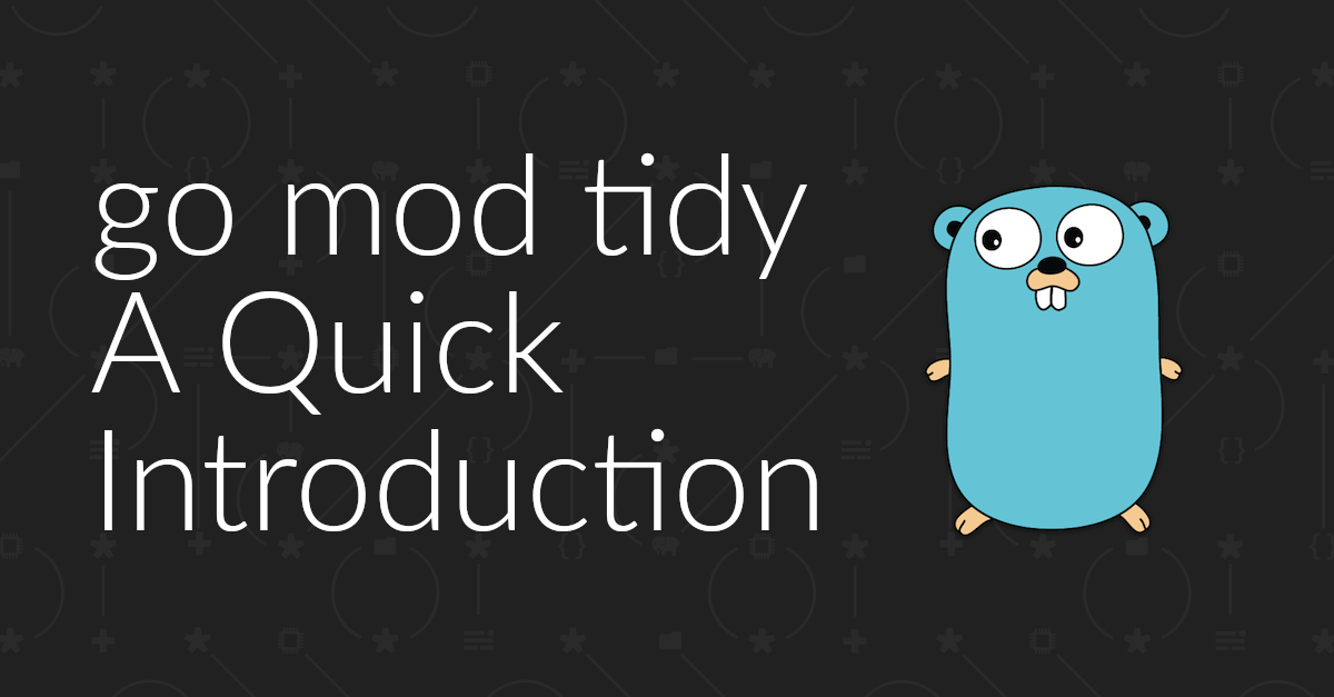 Go mod tidy - A Quick Introduction