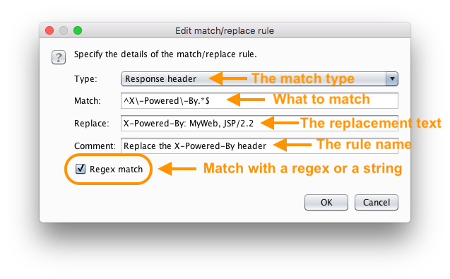 Edit Burp Suite’s Match and Replace Rules